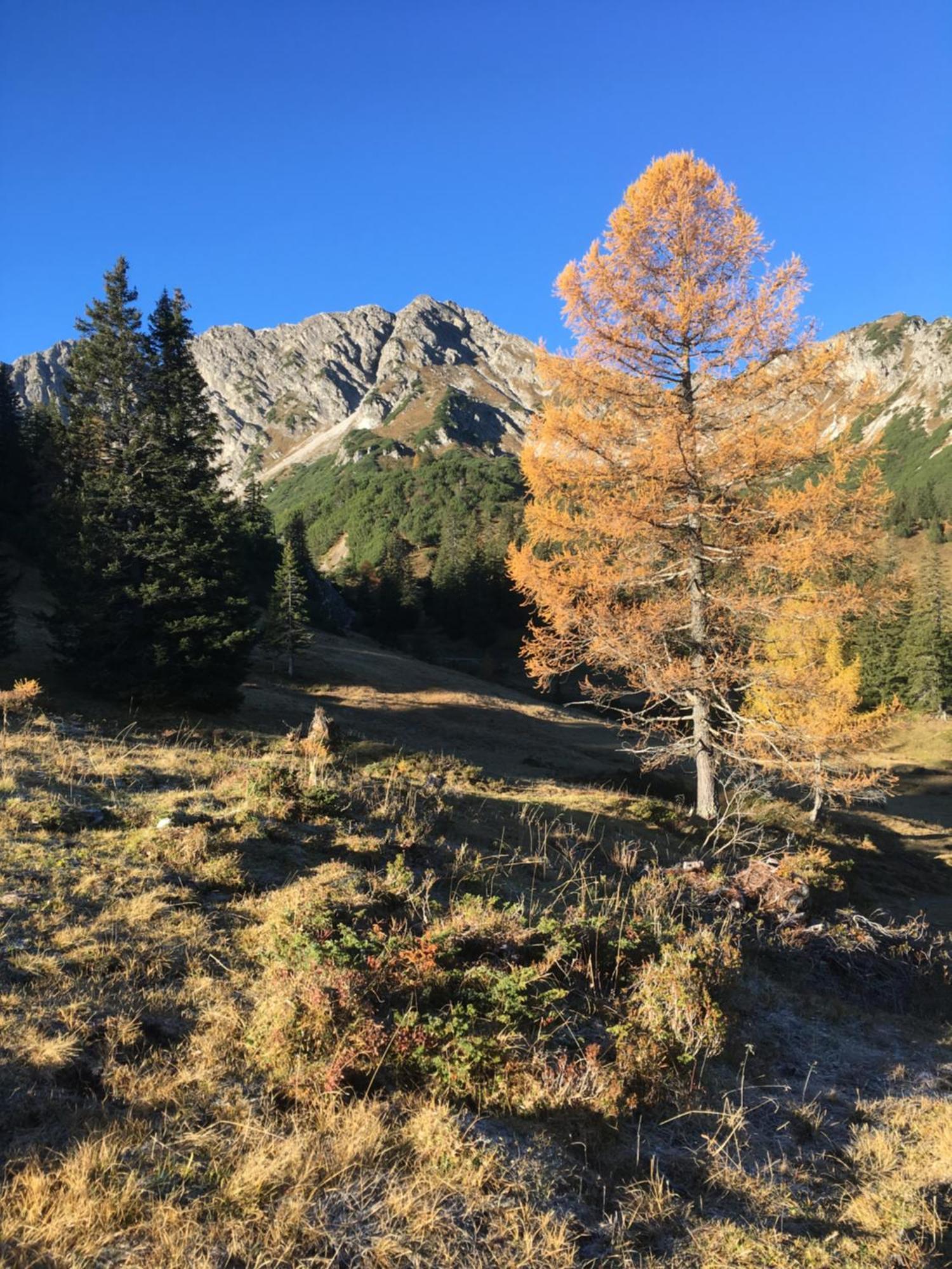 Apartmán Appart Tramontana Bürserberg Exteriér fotografie